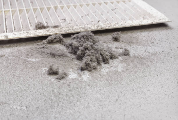 Best HVAC Air Duct Cleaning  in Hunters Creek Village, TX