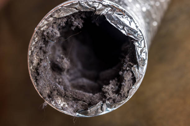 Best Best Air Duct Cleaning Near Me  in Hunters Creek Village, TX