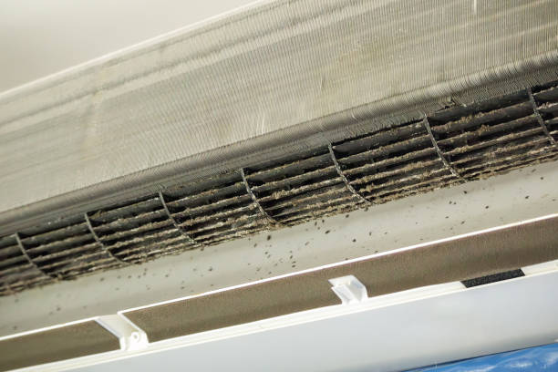 Best Air Quality Test  in Hunters Creek Village, TX